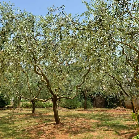 Feriehus Maredi With Pool