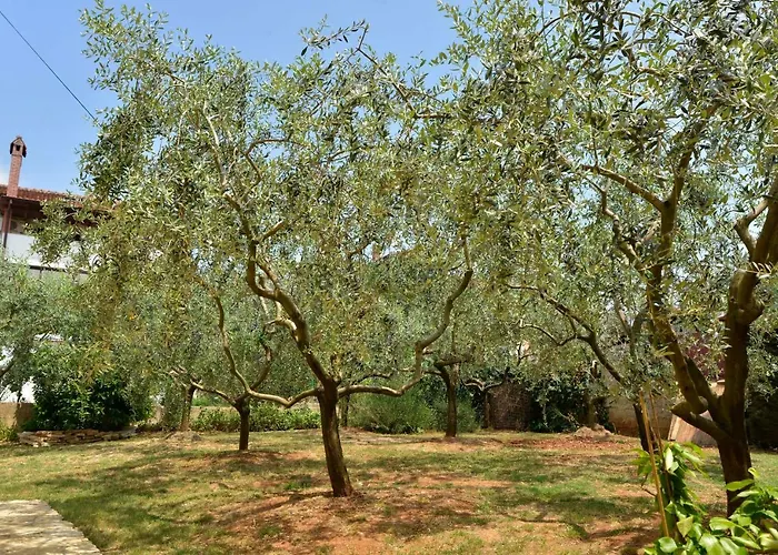 Holiday home Maredi With Pool